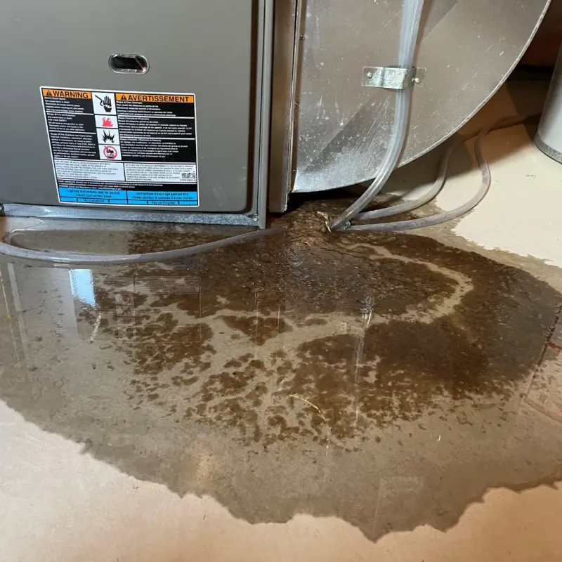 Appliance Leak Cleanup in Doddridge County, WV
