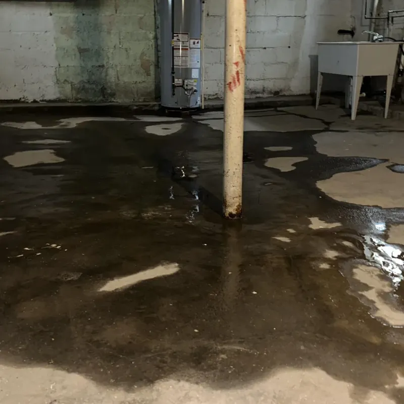 Emergency Water Extraction And Removal in Doddridge County, WV